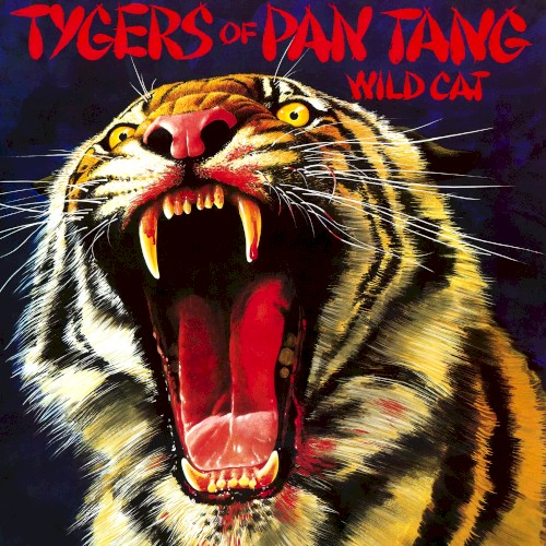 Wild Cat
